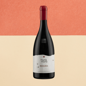 Barbera d’Asti DOCG Superiore 2020